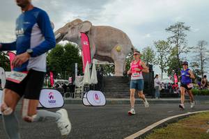 BIB: 
                            <button type="button" onclick="openModal(26528526)" class="btn btn-primary btn-sm float-right btn-popup" data-toggle="modal" data-target=".modal-high-quality">
                        <i class="fas fa-shopping-cart"></i> Add to Cart
                    </button>
                                            <button type="button" onclick="isThisMe(26528526, true)" class="btn btn-success btn-sm float-right btn-popup btn-isme hidden" data-toggle="tooltip" data-placement="bottom" title="นี่คือรูปของคุณใช่ไหม คลิกที่นี่เพื่อเอาเข้าอัลบั้ม">
                        <i class="fas fa-plus"></i> Add to album
                    </button>
                    <button type="button" onclick="isThisMe(26528526, false)" class="btn btn-warning btn-sm float-right btn-popup btn-isnotme hidden">
                        <i class="fas fa-ban"></i> Remove from album
                    </button>